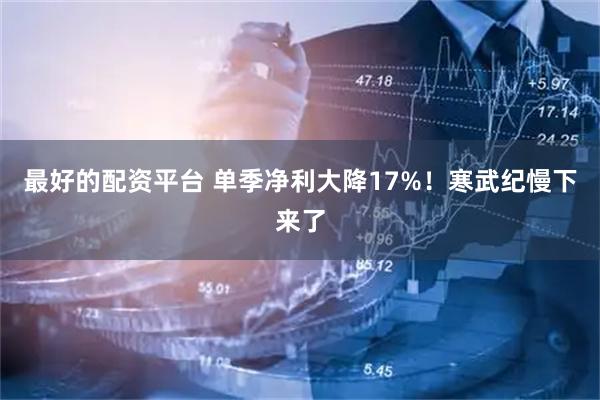 最好的配资平台 单季净利大降17%！寒武纪慢下来了