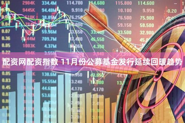 配资网配资指数 11月份公募基金发行延续回暖趋势